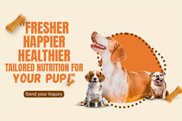 Fresh food for Dogs Banner