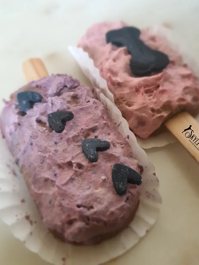 Pupsicles for Dogs