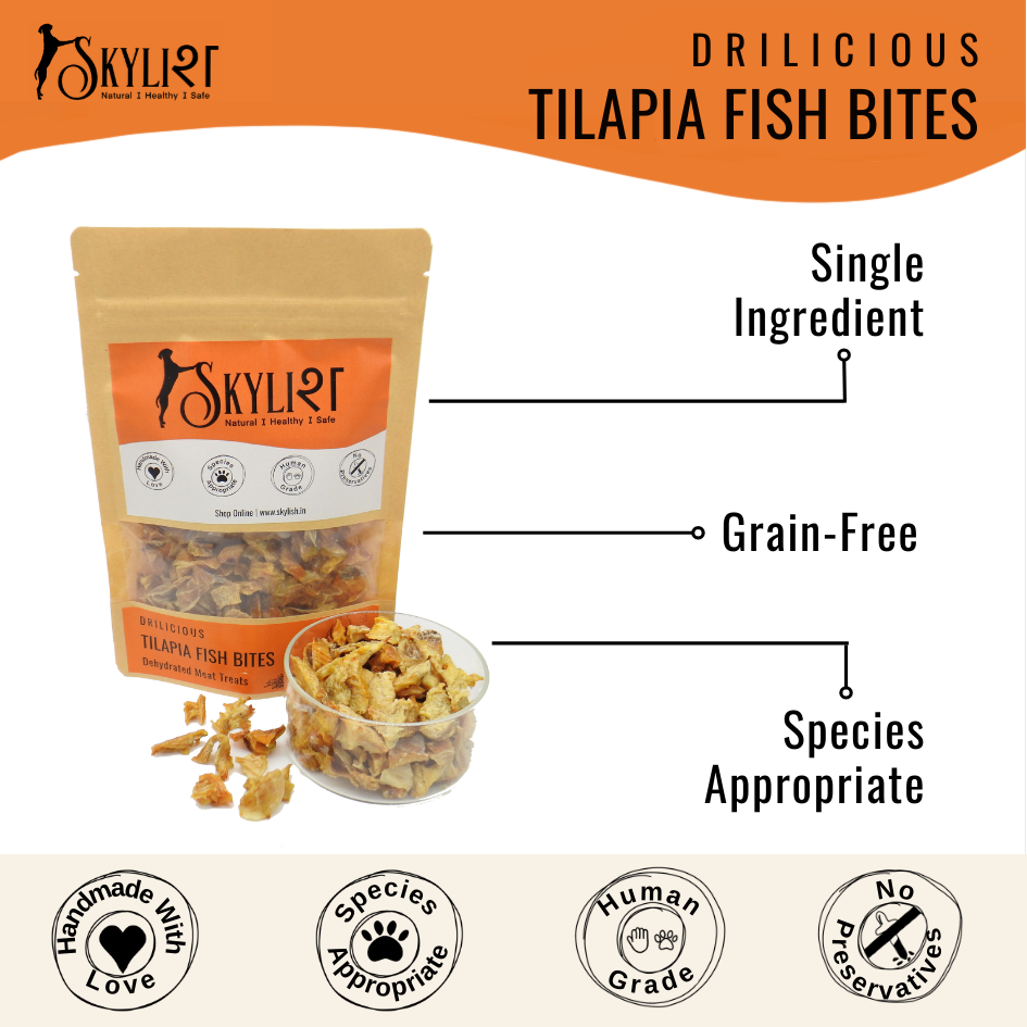 Skylish Tilapia Fish