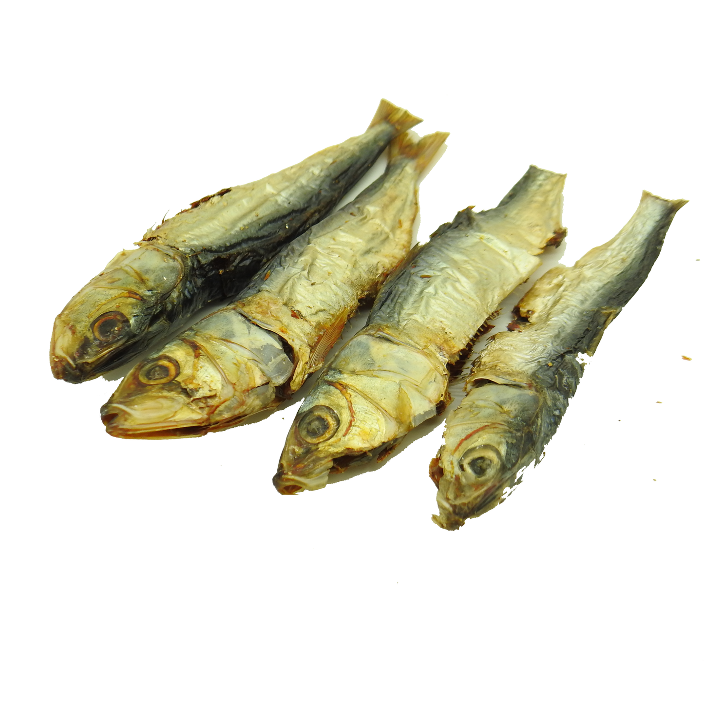 Skylish Sardines