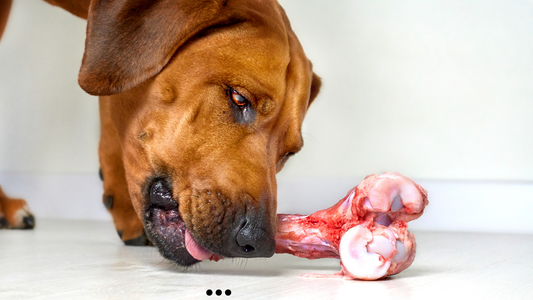 Natural Dog Chews -  But Are They Really Safe?