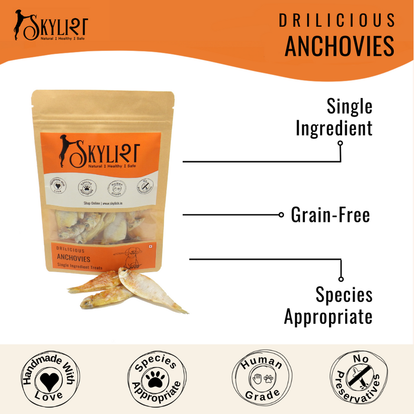 Buy Skylish Healthy Dehydrated Anchovies for Dogs