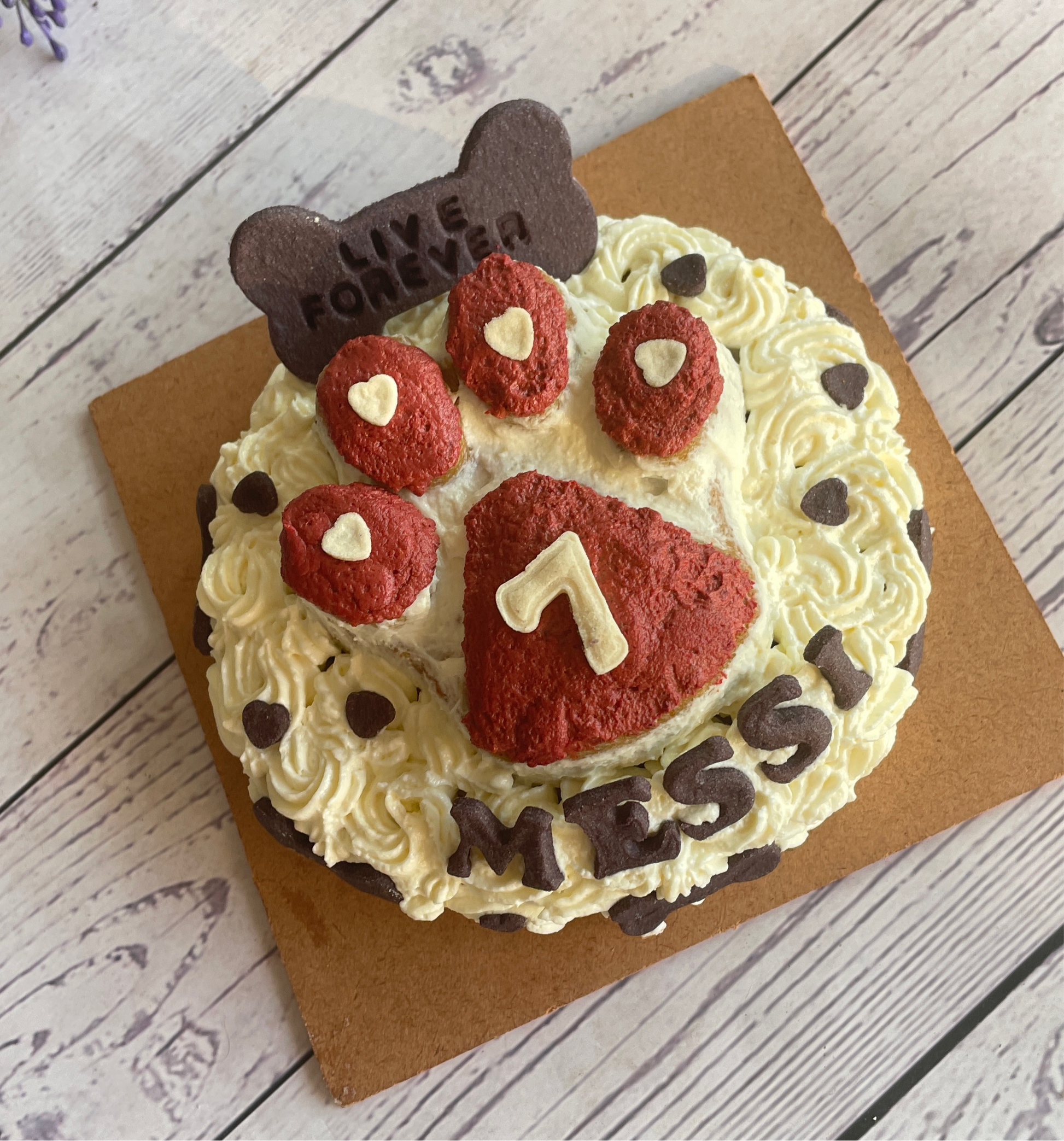 Buy Skylish Gluten-Free Paw-Shaped Cakes for Dogs in Hyderabad