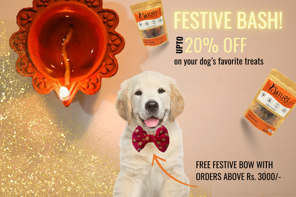 Diwali Offer with Free Festive Bow