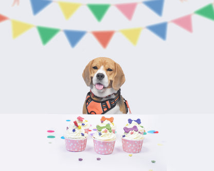 Skylish Pupcakes for Dogs | Gluten-Free | No Sugar, Oil or Butter | No Raising Agents