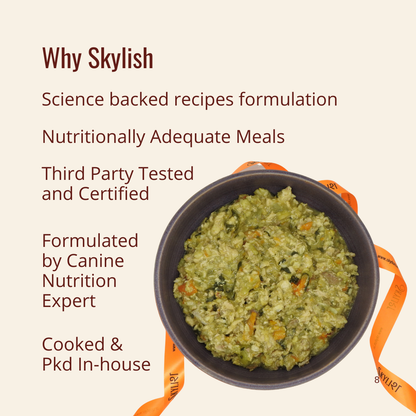 Skylish Baked Recipes