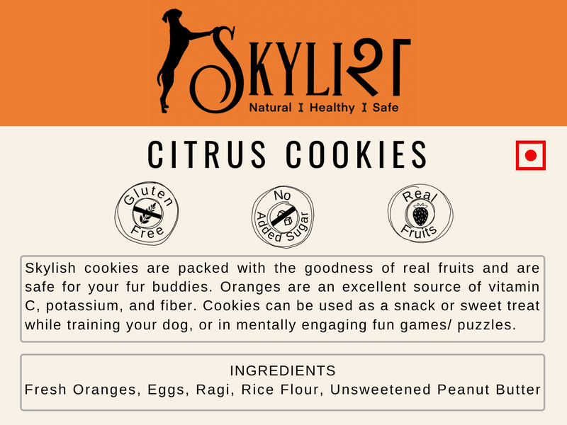 Citrus (Orange) Dog Cookies | Made using Real Fruits, Gluten-Free, Human Friendly, No Preservatives
