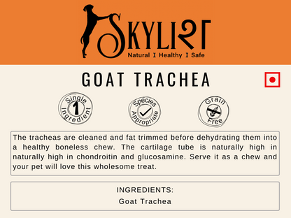 Goat Trachea